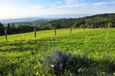 Hochplateau Naturpark Jauerling, © Robert Herbst