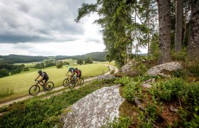 Granittrail, © Waldviertel Tourismus, Erwin Haiden