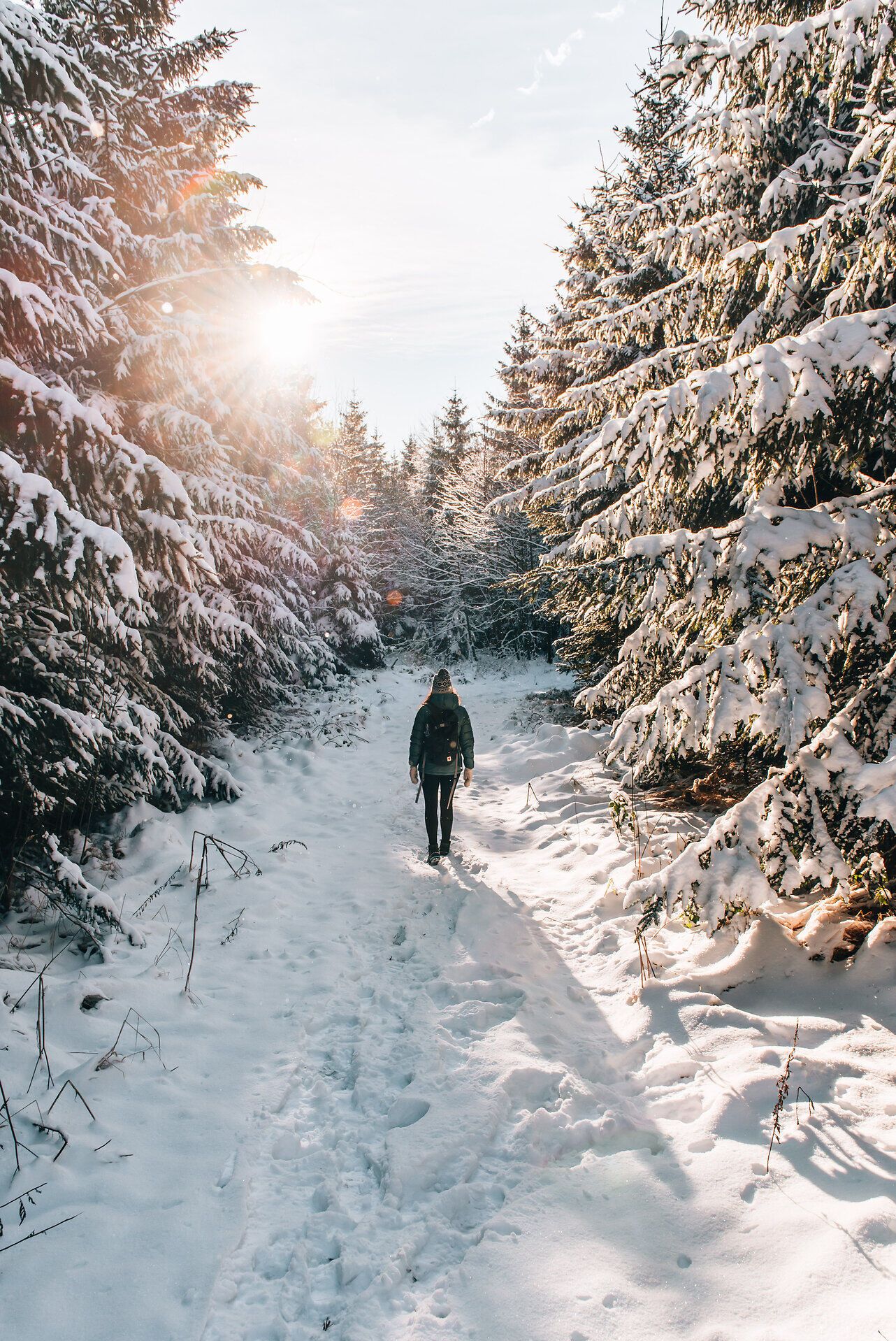 Ein sanfter Wintermorgen lädt zu einer erholsamen Wanderung durch die schneebedeckten Wälder ein. Die Sonnenstrahlen brechen durch die Bäume und zaubern ein magisches Lichtspiel auf den glitzernden Schnee. Hier, umgeben von der ruhigen Natur, findet man die perfekte Auszeit vom Alltag.