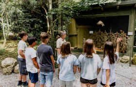 NÖ Falknerei- und Greifvogelzentrum, © Waldviertel Tourismus, Matthias Streibel