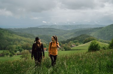 Weitwandern im Waldviertel, © Waldviertel Tourismus, Melanie Többe