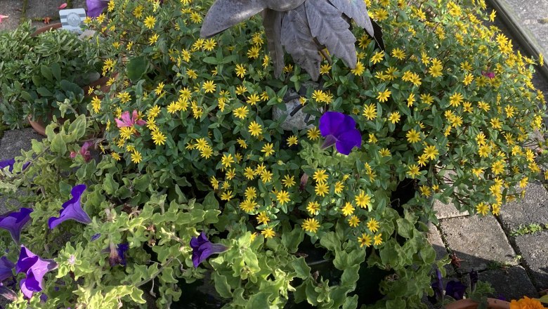 img_0347, © Frühstückspension Gerstbauer