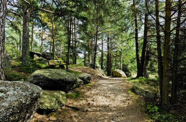 Nature Park Nordwald, © POV