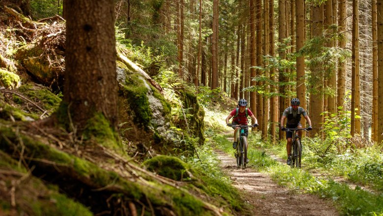 Granittrail, © Waldviertel Tourismus, Erwin Haiden