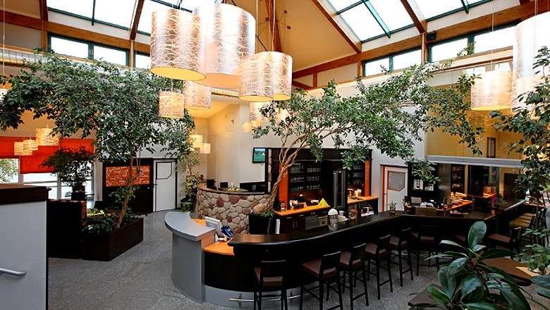 Innenansicht eines modernen Fitnesscenters mit Bar und Pflanzen.