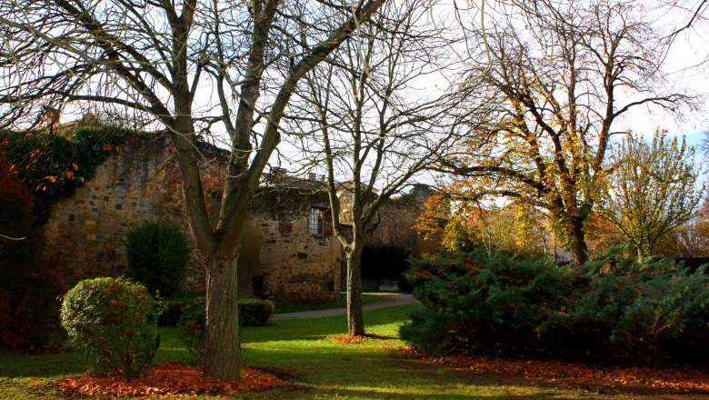 Stadtmauer Horn, © Stadtgemeinde Horn/Edith Reischütz