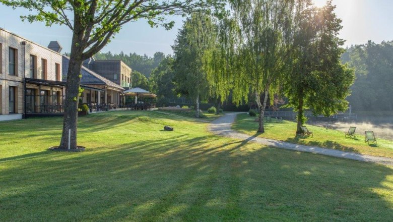 Grüne Wiese mit Bäumen, Gebäude und Liegestühlen am Seeufer im Sonnenlicht.