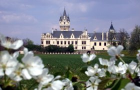 Schloss Grafenegg mit blühenden Bäumen im Vordergrund.