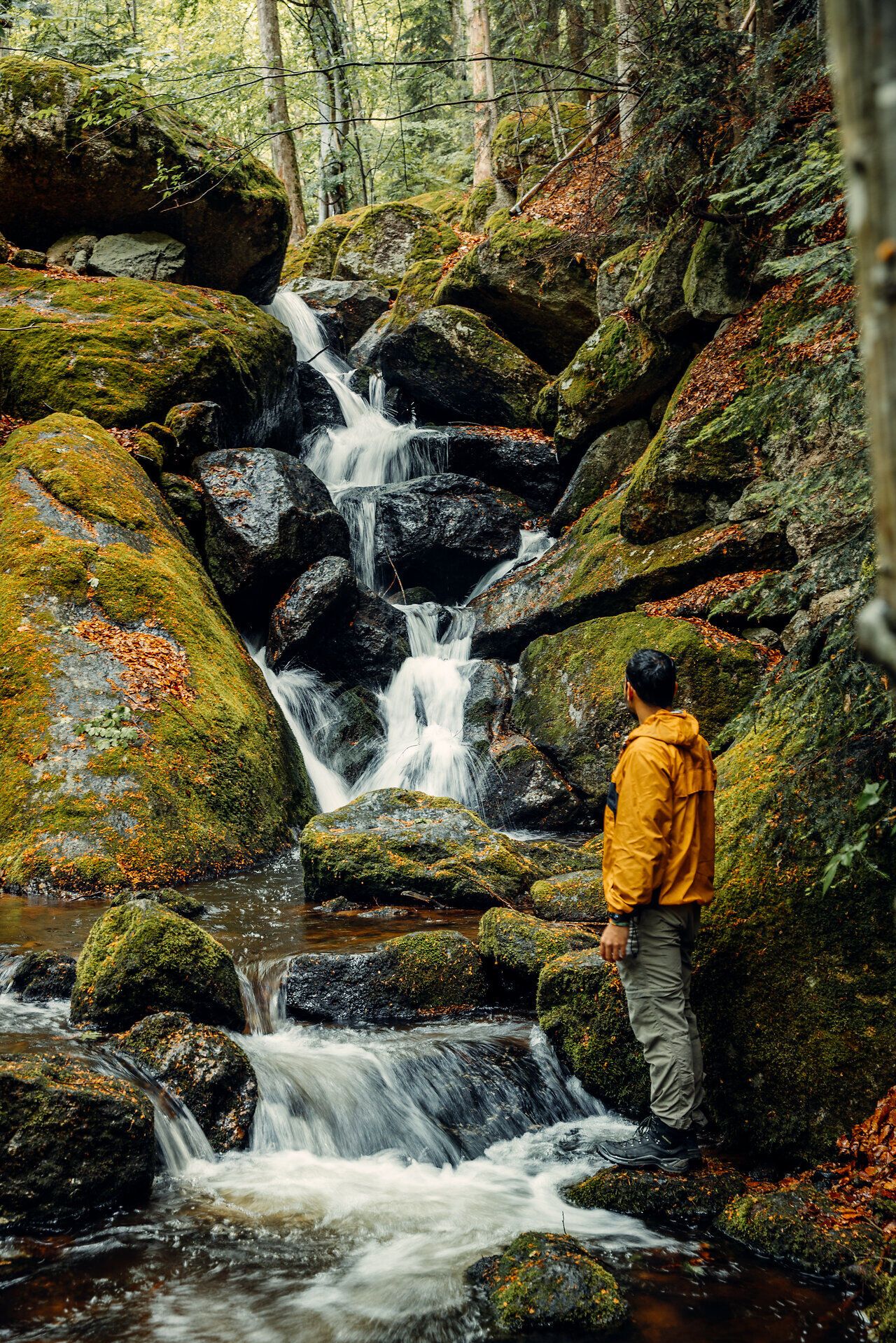 Ein sanfter Wasserfall plätschert über moosbedeckte Steine und schafft eine friedliche Atmosphäre inmitten der Natur. Umgeben von hohen Bäumen und üppigem Grün lädt dieser Ort zum Verweilen und Entspannen ein. Hier können Wanderer die Schönheit der unberührten Landschaft genießen und die Seele baumeln lassen.