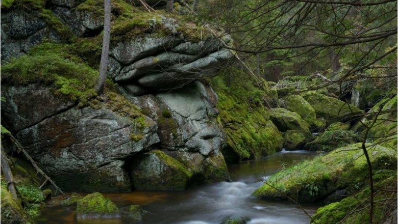 Bärentrail, Schlucht am Großen Kamp bei Neustift/Rappottenstein, © BÄRENWALD, Matthias Schickhofer