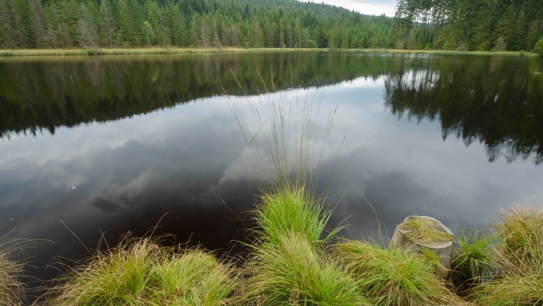 Teiche im Weinsberger Wald, © Waldviertel Tourismus, Matthias Schickhofer