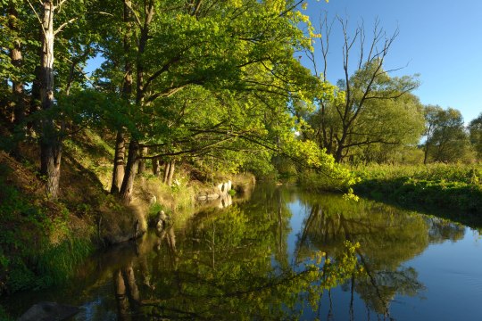 Lainsitzniederung, © Waldviertel Tourismus, Matthias Schickhofer