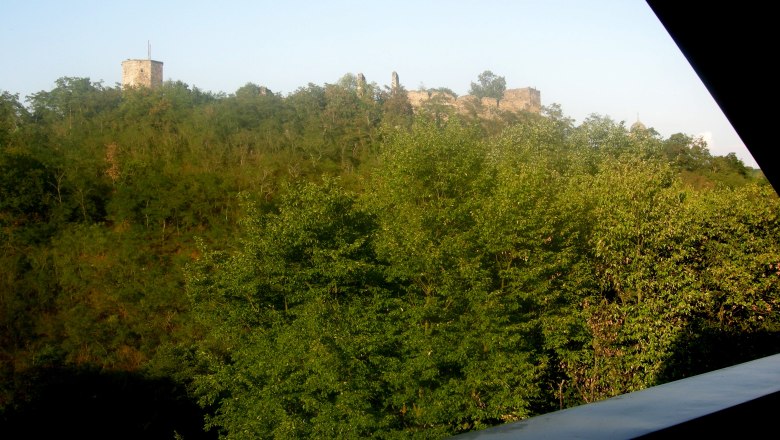 View of Gars castle ruins, © Gruber View of the Gars castle ruins behind trees at sunset.