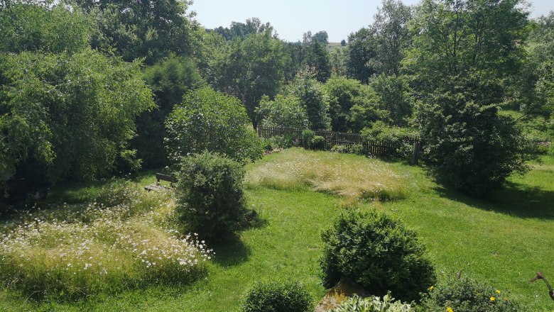 Ein grüner Garten mit Bäumen, Sträuchern und Blumenwiese.