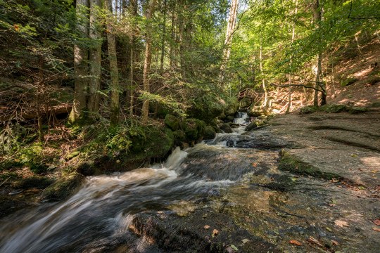 Ysperklamm, © Waldviertel Tourismus, Studio Kerschbaum