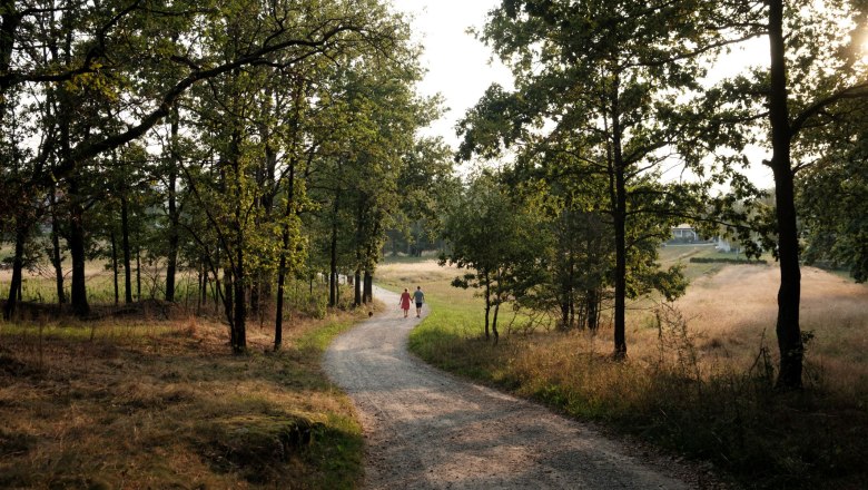 Neue Wege gehen, © Klaus Ewert, Fotograf Laurin Buitmann