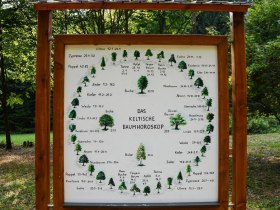 Baumhoroskop, © Stadtgemeinde Litschau