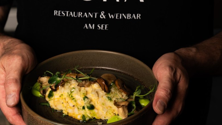 Vorspeise, © Ho & Co GmbH