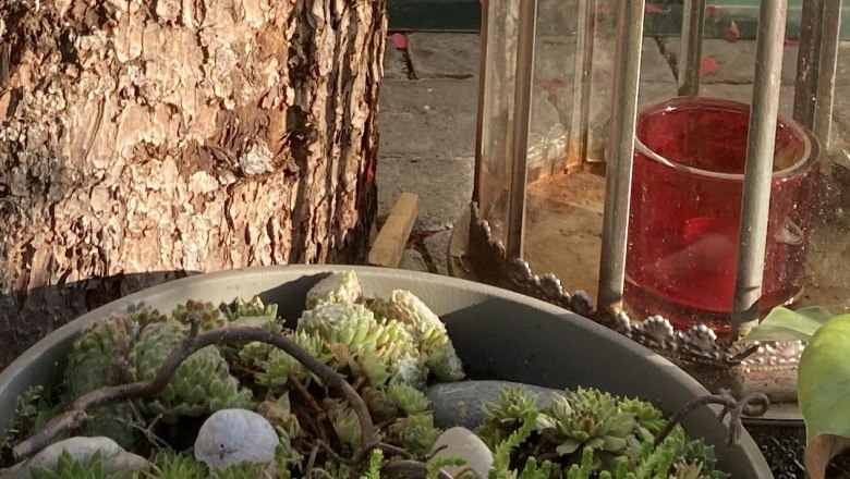 img_0350, © Frühstückspension Gerstbauer