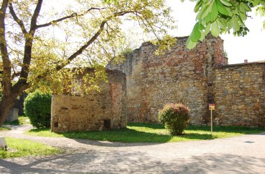 Stadtmauer Horn, © Stadtgemeinde Horn/Edith Reischütz