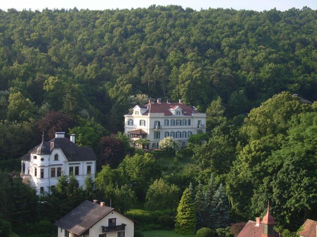 Großes Herrenhaus umgeben von üppigem Wald in Gars.