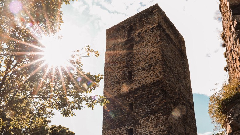 Ruine Schauenstein im Sonnenlicht mit B&auml;umen im Vordergrund.