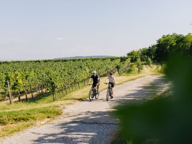 Ein Radfahrer-P&auml;rchen f&auml;hrt auf einem Weg in den Weinbergen.