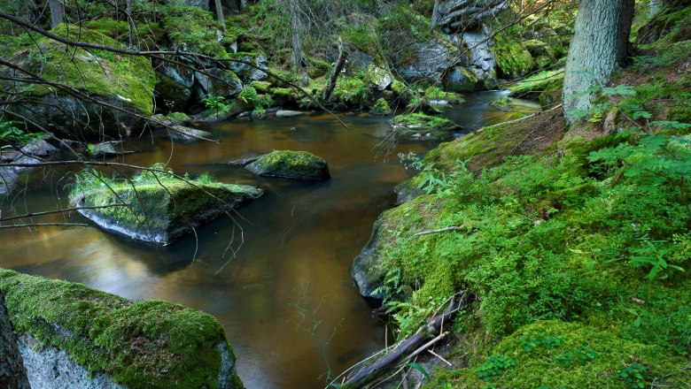 Bärentrail, Schlucht am Großen Kamp, © Matthias Schickhofer