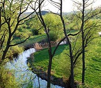 River in a green landscape with trees in the foreground.