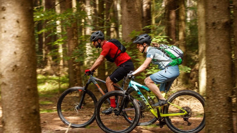 Zwei Mountainbiker fahren durch einen Wald auf einem Trail.