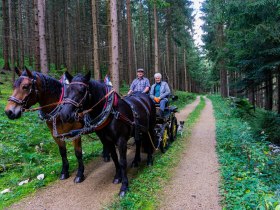 Bequem mit dem Pferdegespann unterwegs, © Unknown