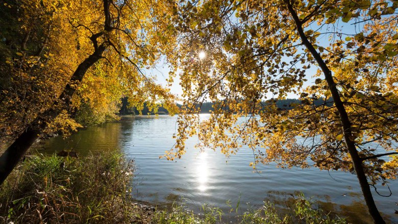 Bruneiteich bei Altmanns, © Waldviertel Tourismus, Matthias Schickhofer