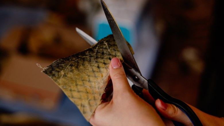 Nahaufnahme von Händen, die Fischleder mit einer Schere schneiden.