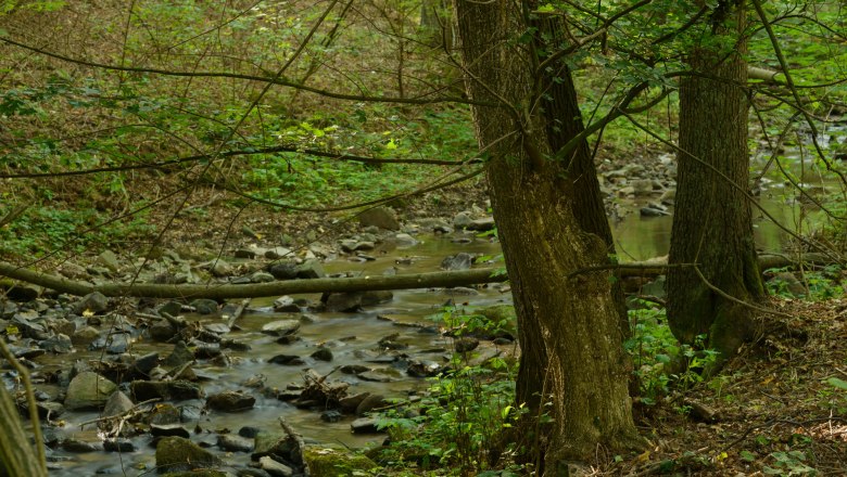 Pulkautal, © Waldviertel Tourismus, Matthias Schickhofer