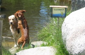 Hunde-Moorbad, © Gasthof Lichtenwallner