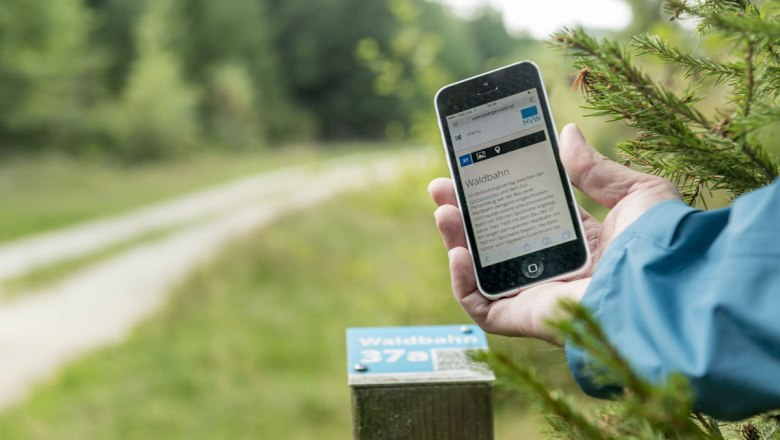 Person hält Smartphone im Wald, zeigt Informationen zur Waldbahn an.