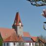 Church with red roof and clock tower, blue sky, magnolia blossom in the foreground.