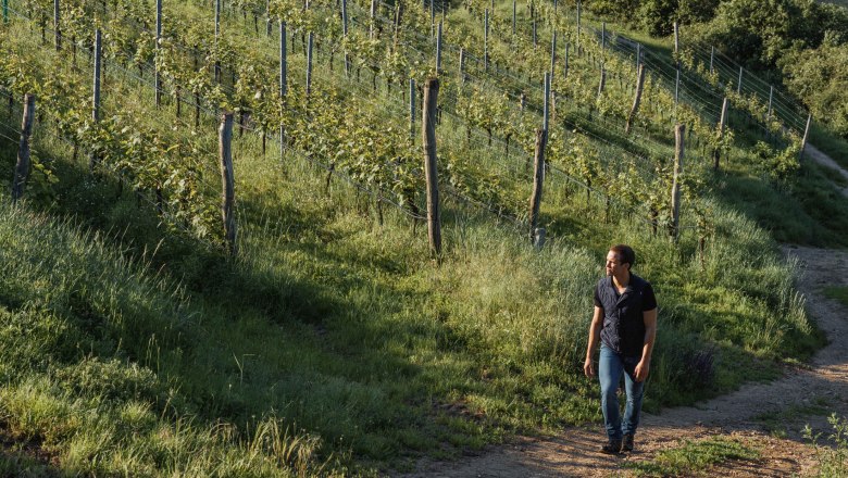 Weingut Allram, &copy; Hasselblad X1D