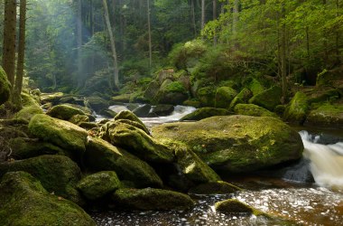 Naturschauspiel am Höllfall, © Waldviertel Tourismus, Matthias Schickhofer