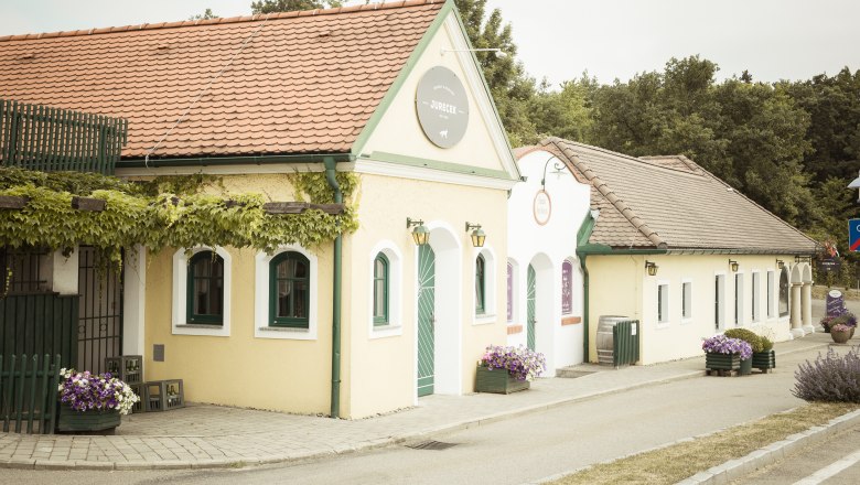 Exterior view of a traditional wine tavern with a yellow façade and red roof tiles, surrounded by plants.