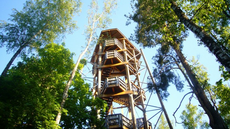 Holzaussichtsturm im Wald mit blauem Himmel.