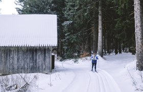 Person beim Skilanglauf im verschneiten Wald neben einer Holzh&uuml;tte.