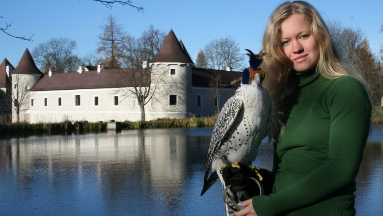 Schloss Waldreichs, © NÖ Falknerei- und Greifvogelzentrum