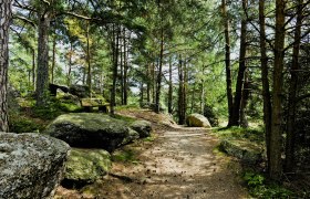 Přírodní park Nordwald, © POV