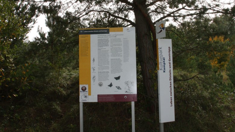 Kühnring sand pit, © Marktgemeinde Burgschleinitz