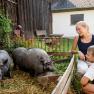 Mini pot-bellied pigs, organic farm Prannleithen, &copy; Waldviertel Tourismus, ishootpeople.at
