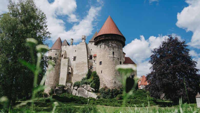 Burg mit runden Türmen und roten Dächern, umgeben von Bäumen und Gras, unter blauem Himmel mit Wolken.