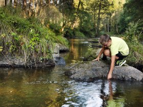 Ein Junge erkundet neugierig das glitzernde Wasser eines klaren Baches, während die sanften Strahlen der Sonne durch das dichte Blätterdach scheinen. Umgeben von üppigem Grün und dem beruhigenden Plätschern des Wassers, ist dies der perfekte Ort für Familien, um die Natur zu genießen und unvergessliche Momente zu erleben.