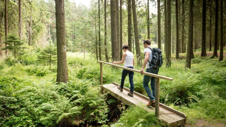 Zwei Personen wandern über eine kleine Holzbrücke in einem dichten Wald.