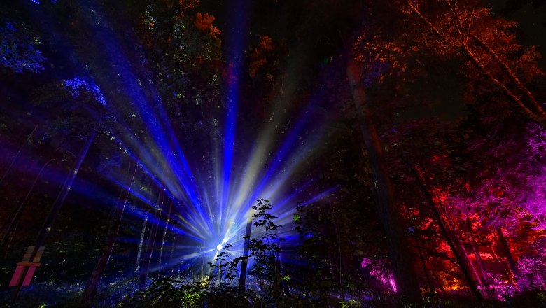 Blockheide leuchtet 2023, © Joanna Pianka